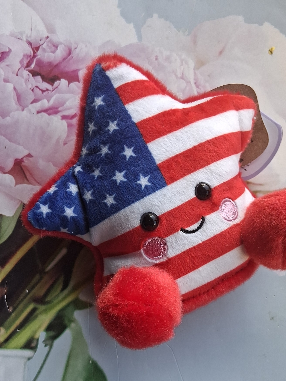 Palm Pals Americana Star
